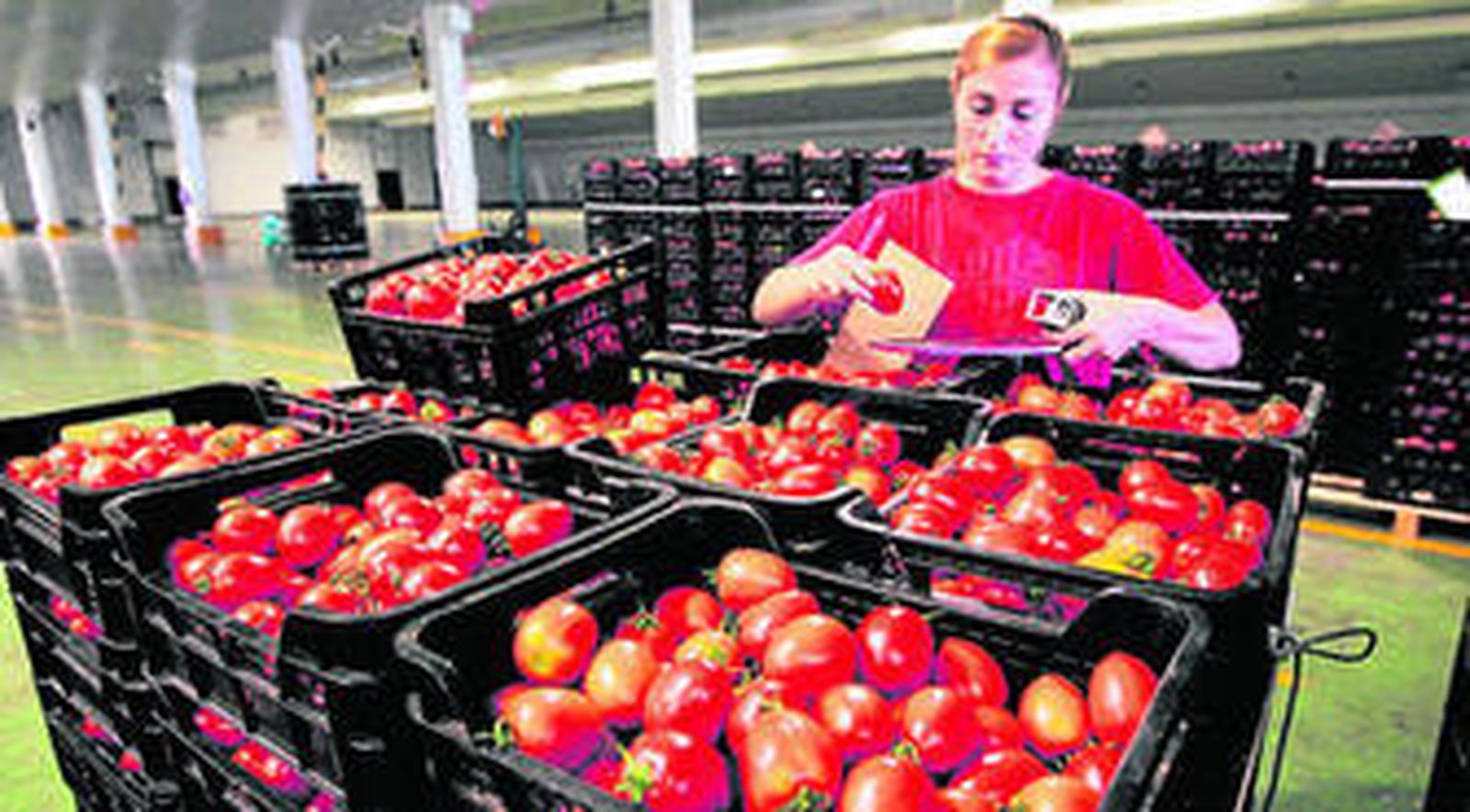 El país galo desprestigia la producción agrícola de la provincia almeriense.