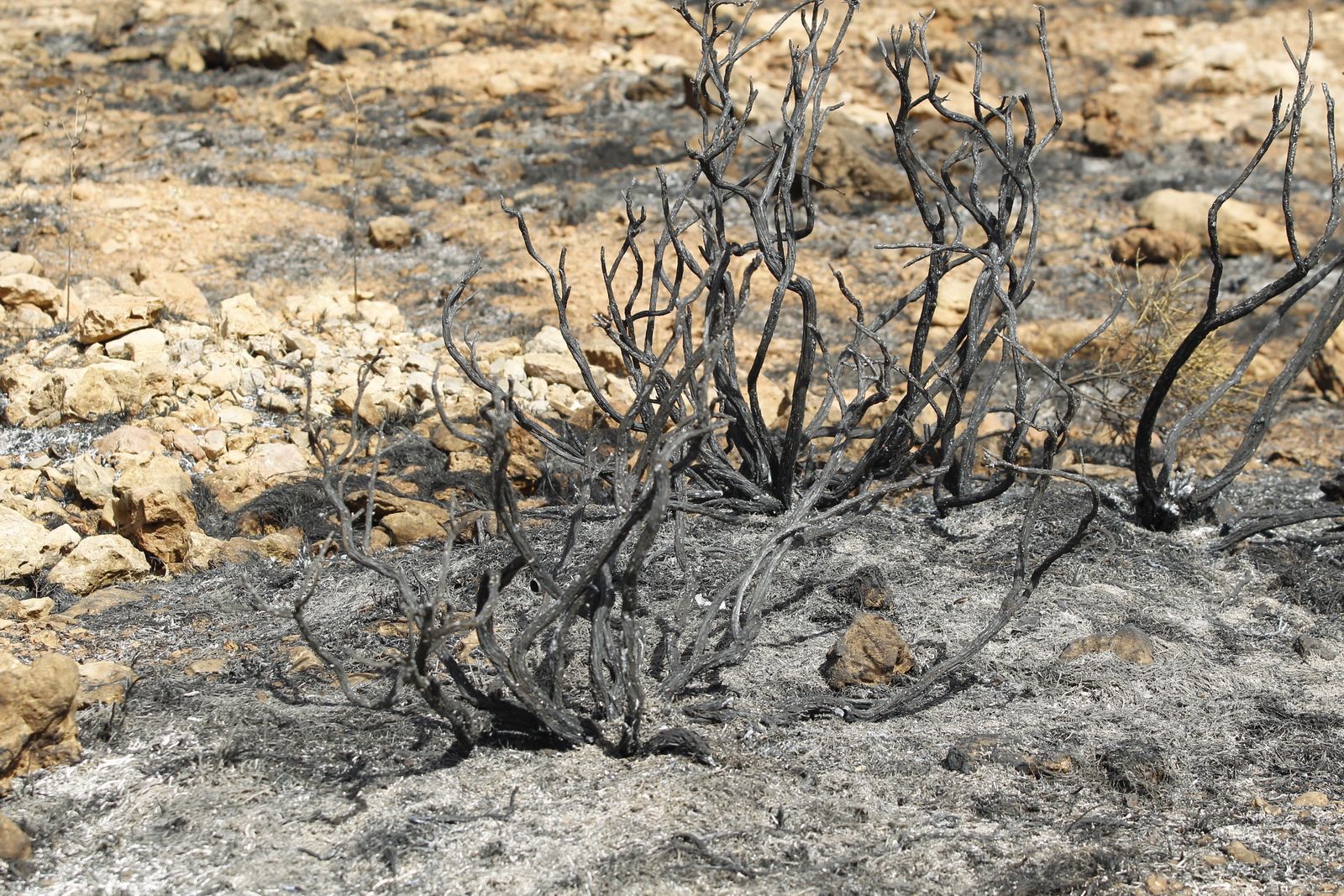 Fotogalería incendio extinguido Sierra de Gádor