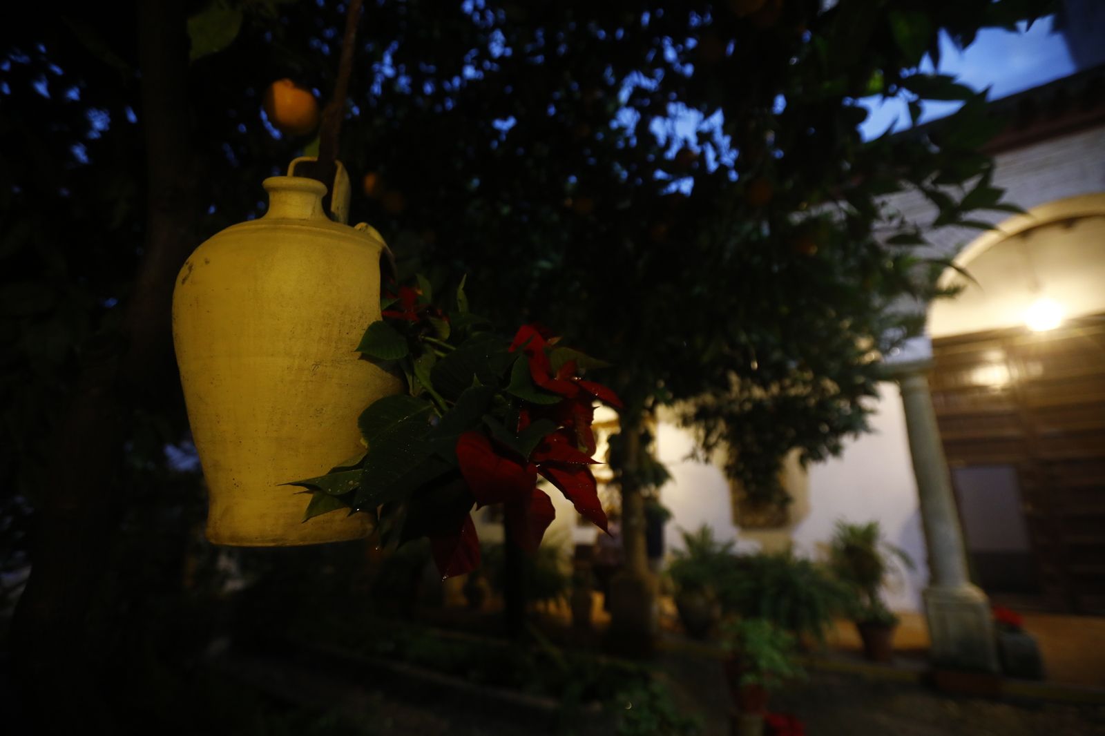 Los Patios de Córdoba abren por Navidad, en imágenes