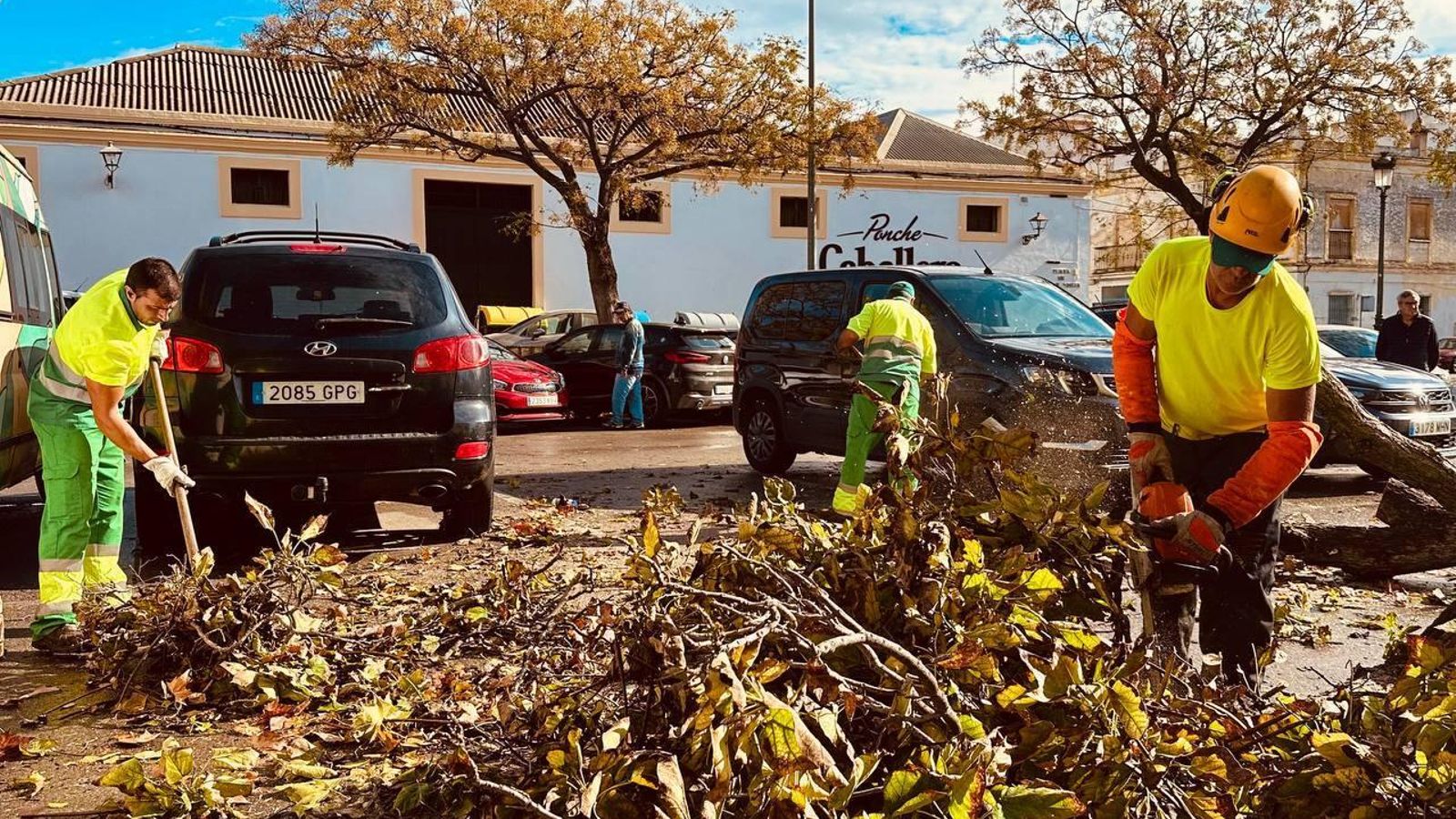 Trabajos de limpieza, esta mañana.