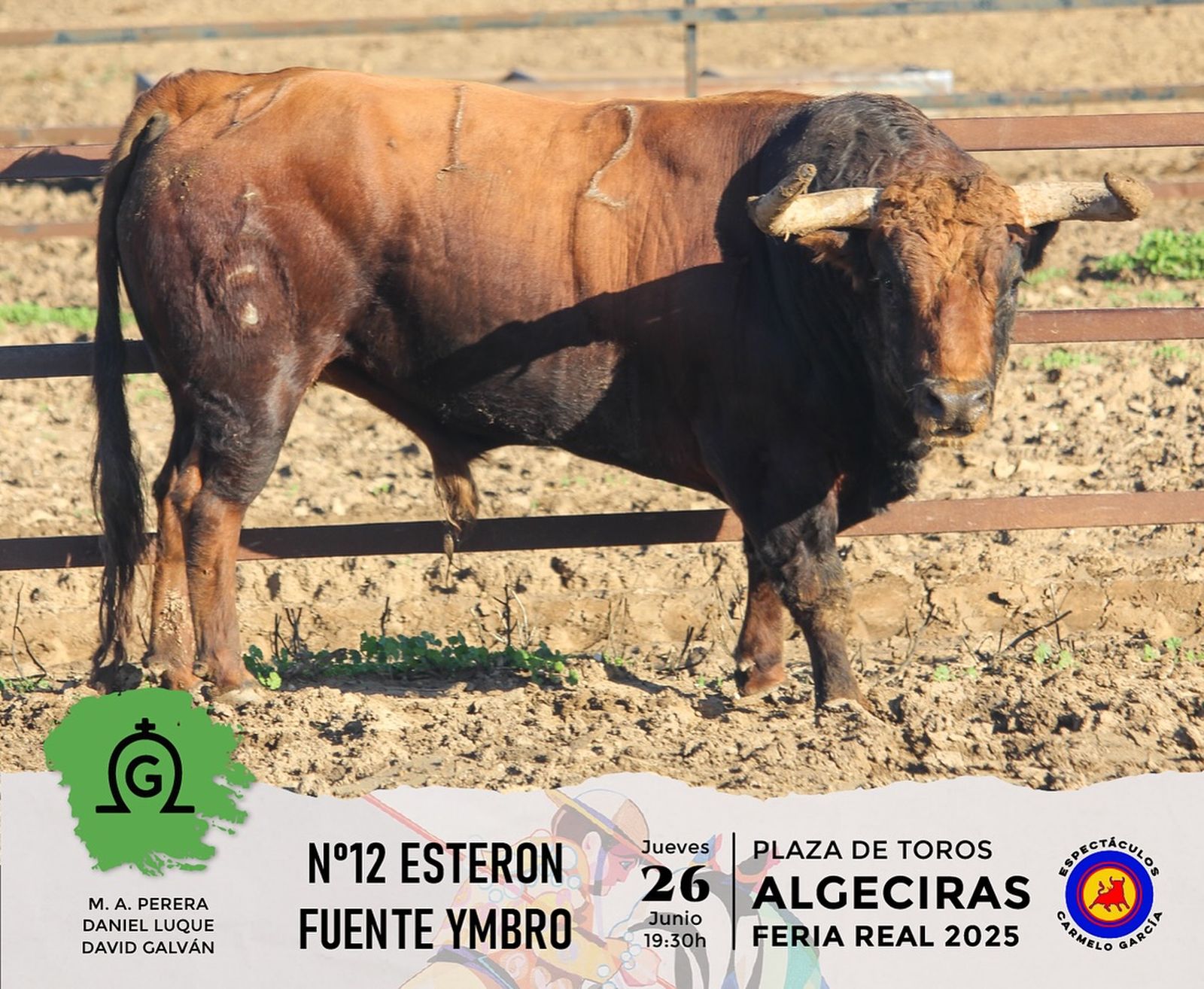 Así son los toros de Fuente Ymbro que se lidiarán este jueves en la plaza de toros de Algeciras
