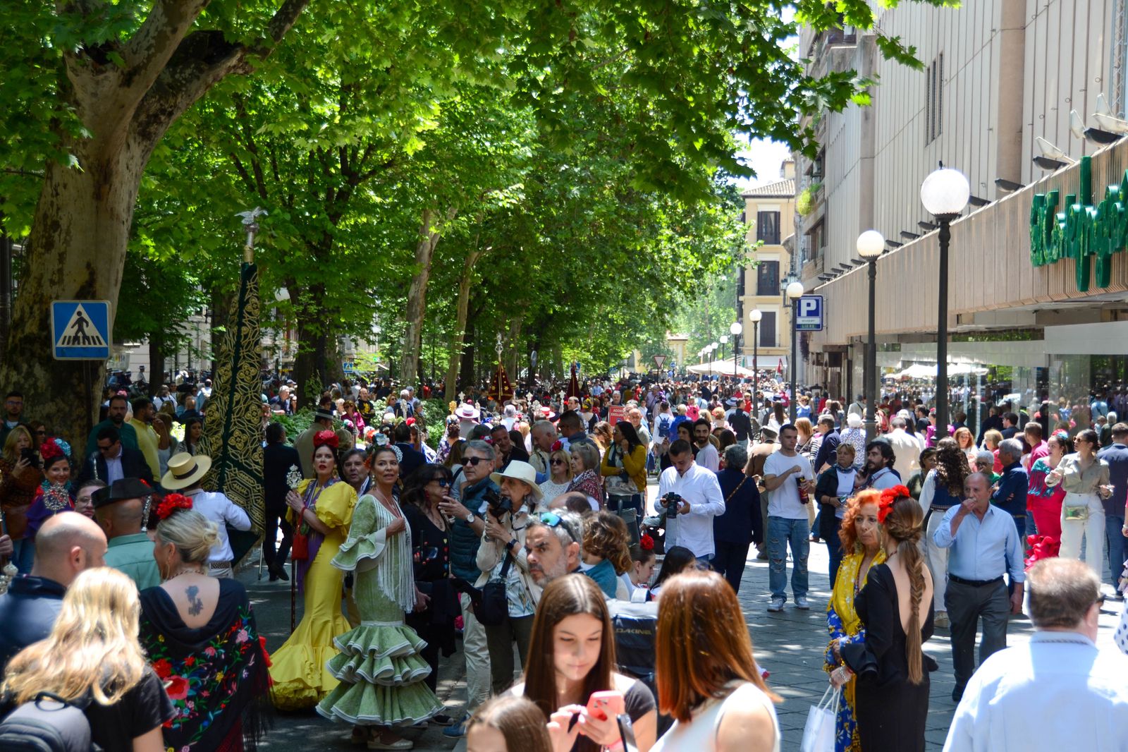 La salida de la Hermandad del Rocío de Granada, en imágenes