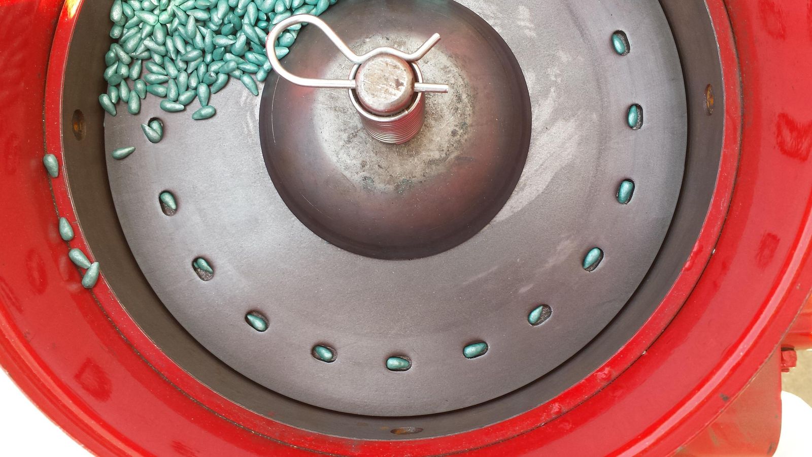 Las semillas pildoradas de girasol desarrolladas por Syngenta presentan un aspecto azulado característico de la empresa Suiza.