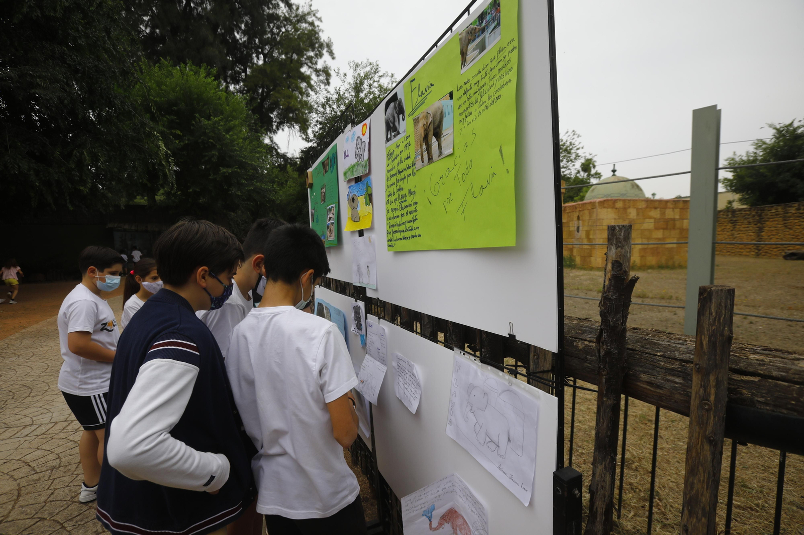 El homenaje en el zoo de Córdoba a la elefanta Flavia, en fotografías