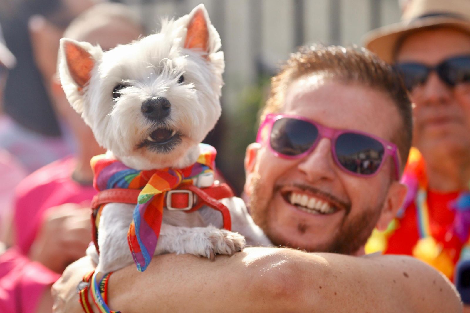 La manifestación del Pride de Torremolinos, en imágenes