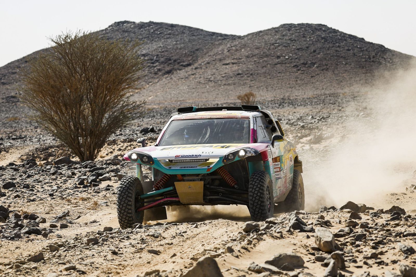 Las mejores fotos del Rally Dakar | Novena etapa