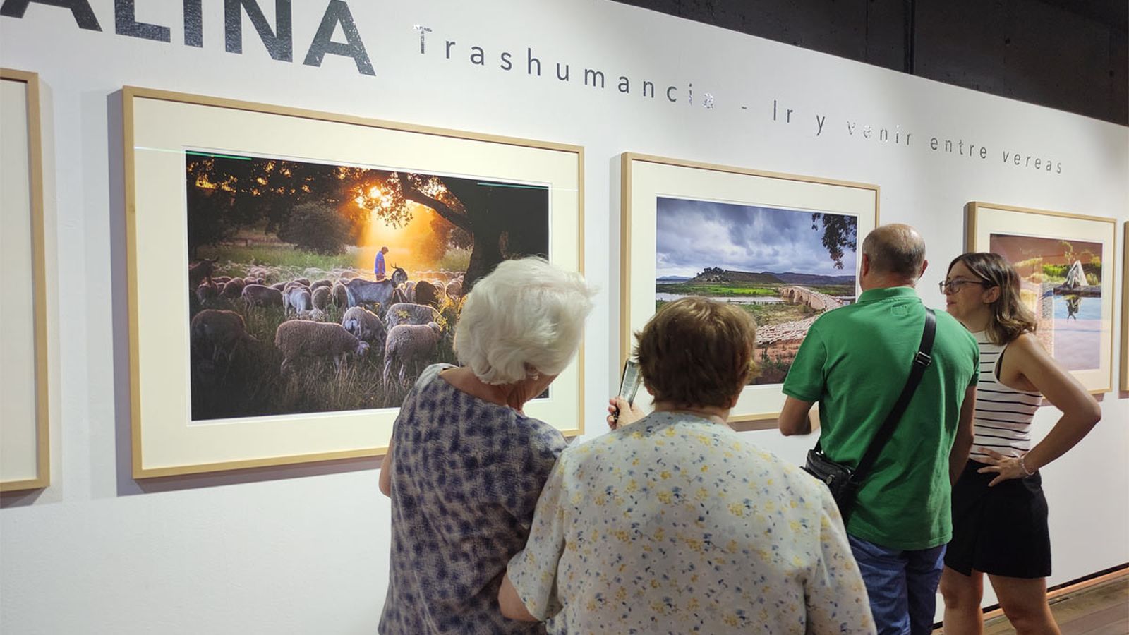 Exposicón Trashumancia- Ir y venir entre vereas.