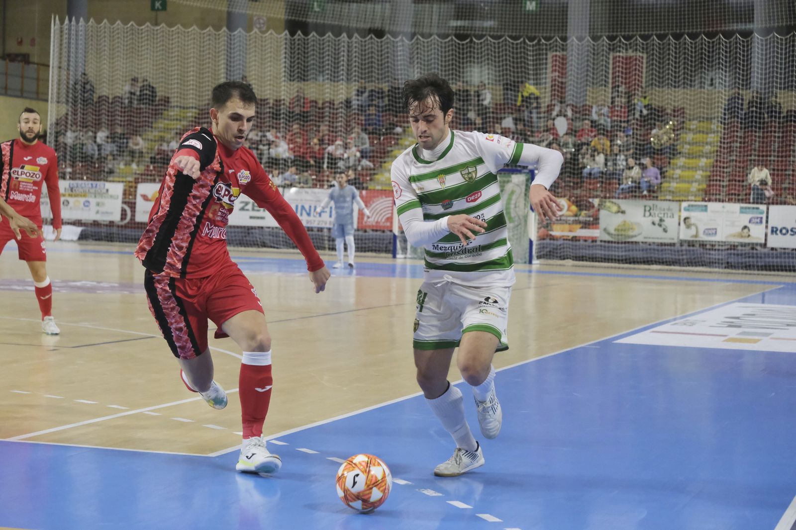 Las imágenes del empate entre el Córdoba Patrimonio y ElPozo Murcia en Vista Alegre