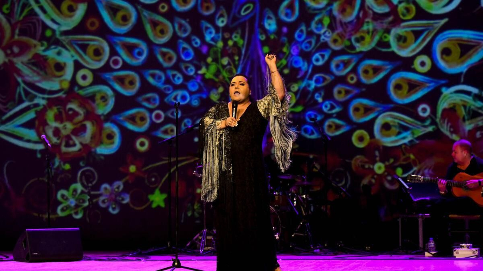 Falete en concierto.