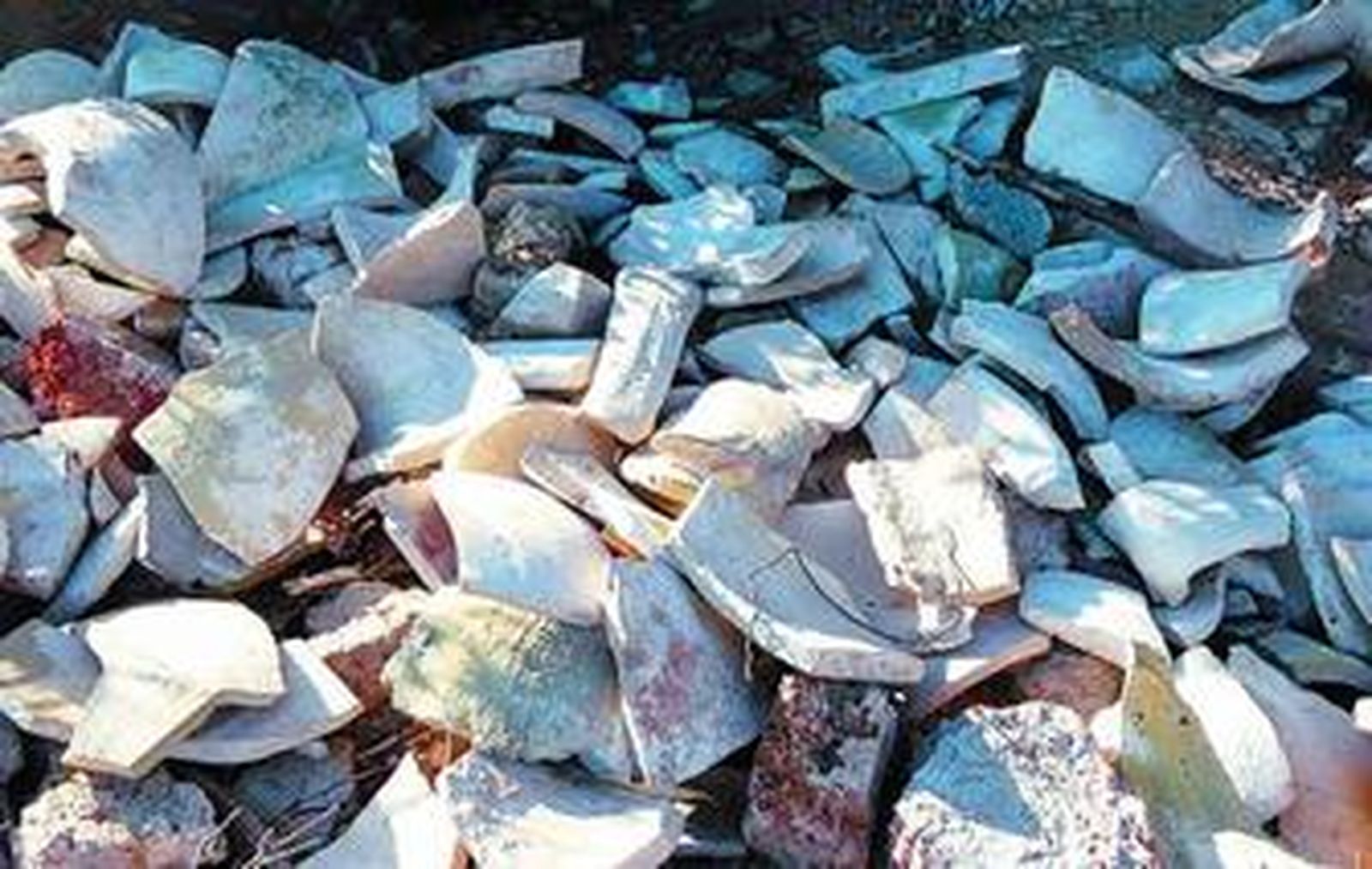 Restos cerámicos en la zona que el PA considera víctima de expolio.