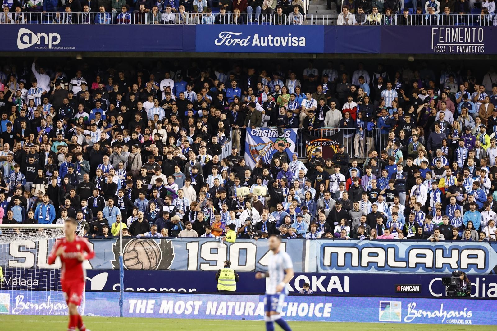 Búscate en las gradas de La Rosaleda en el Málaga CF-Córdoba