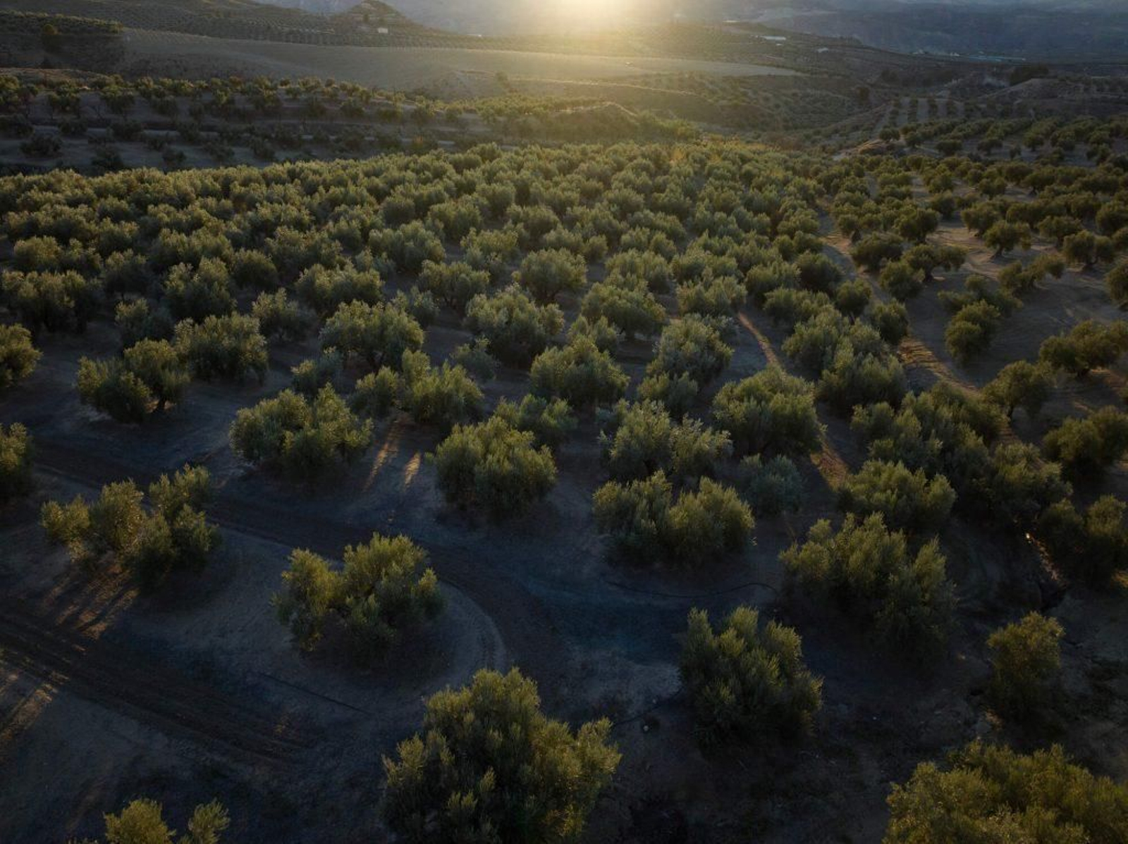 Parque Natural de la Sierra de Cazorla, Segura y Las Villas