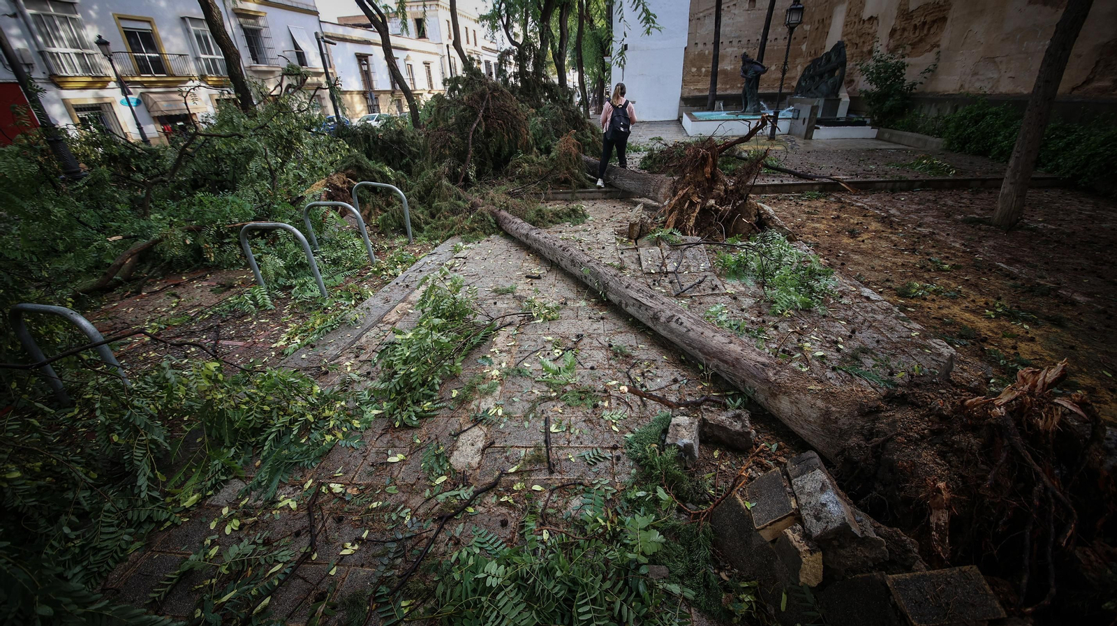 Así está Jerez tras el paso de 'Bernard'
