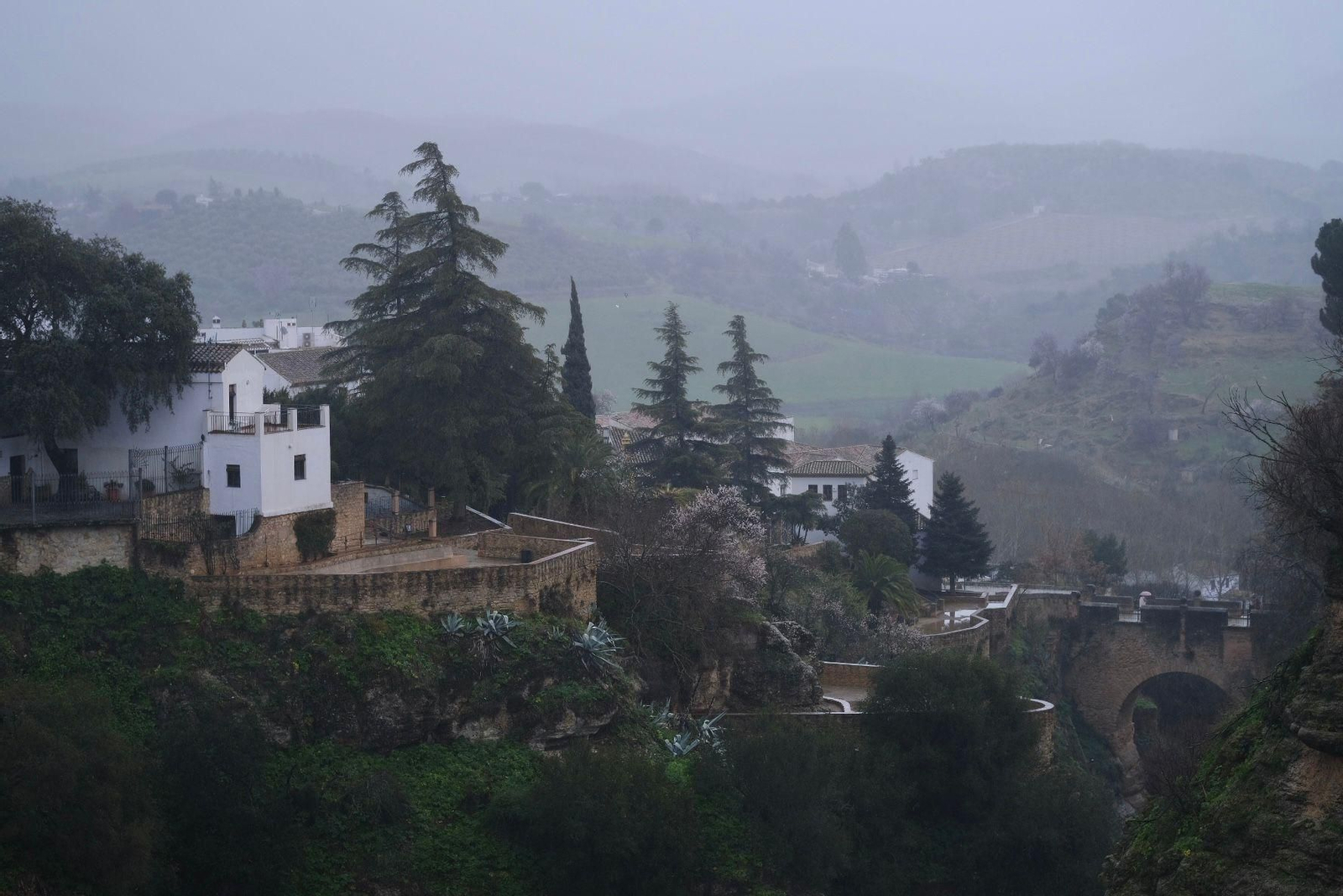 Las imágenes de la lluvia de la borrasca Karlotta en Ronda Las imágenes de la lluvia de la borrasca Karlotta en Ronda