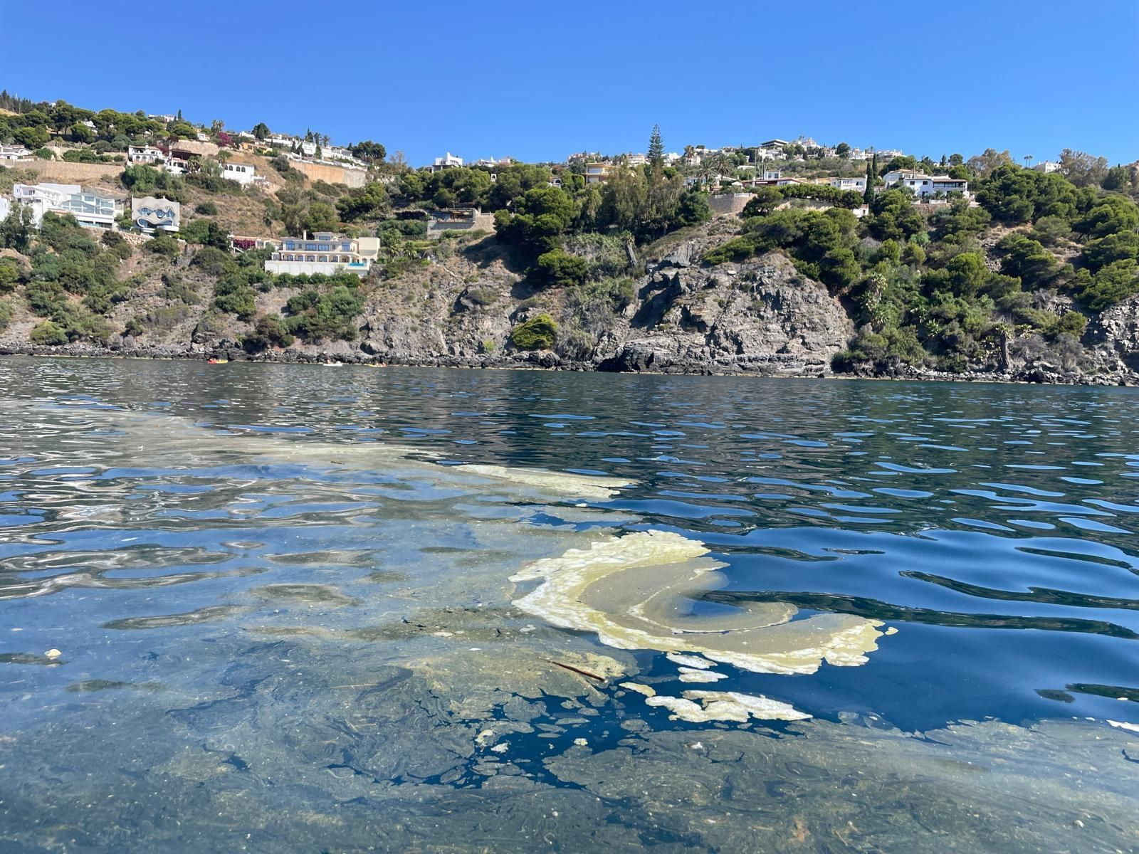 Machas flotantes en el agua en una playa de Granada