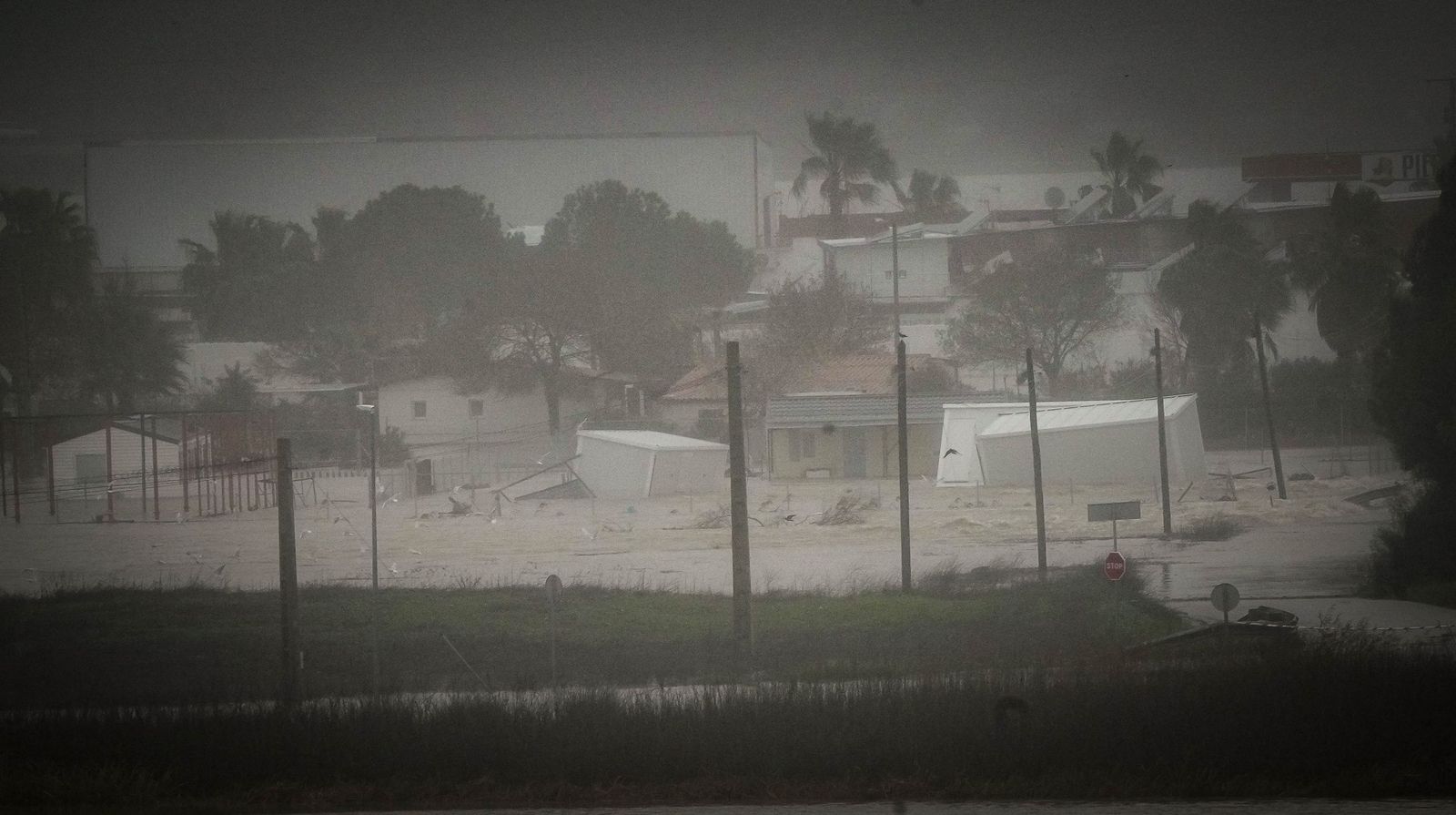 Imágenes de las graves consecuencias de la crecida del rio Guadalete en la zona rural de Jerez