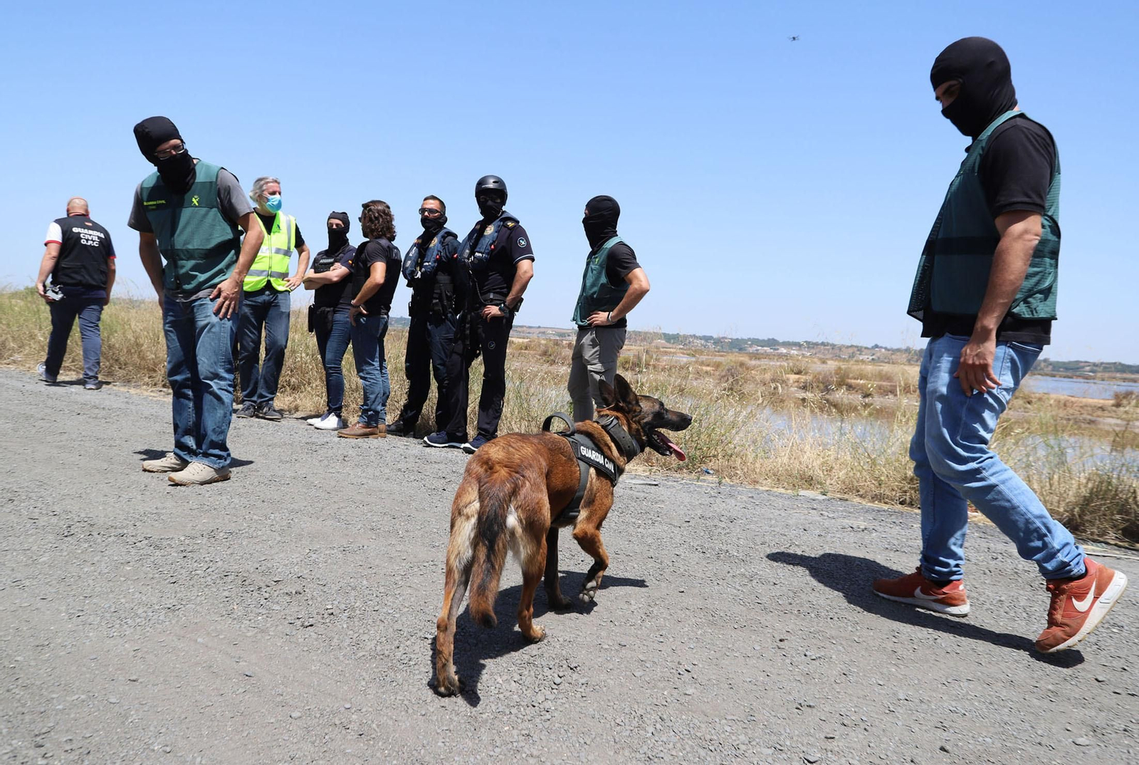 La perra antidrogas Selfie, con los agentes antes de entrar a un astillero en Isla Cristina el 23 de junio, en la primera fase del operativo Colón.