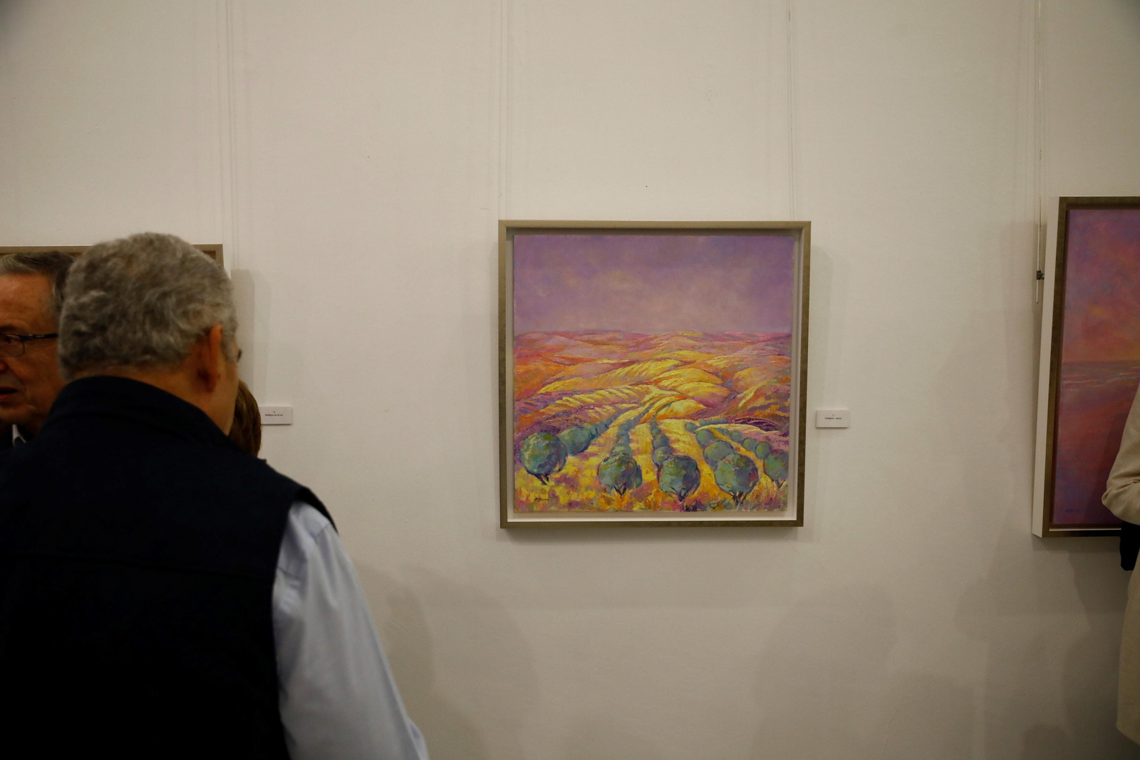 Miguel Cachinero expone su obra en el Real Círculo de la Amistad de Córdoba, en imágenes