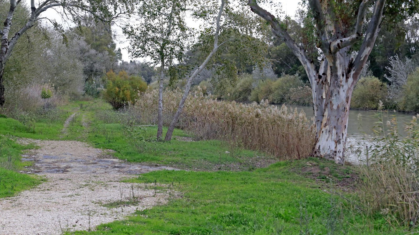 Uno de los senderos por la ribera del río.