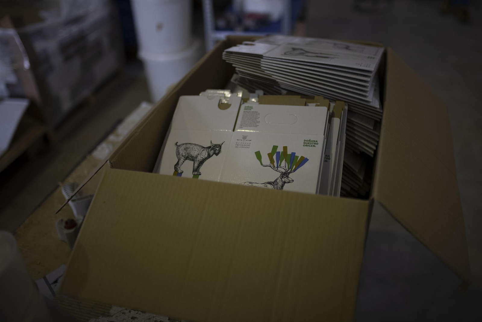 Imágenes de la vendimia en el Condado de Huelva