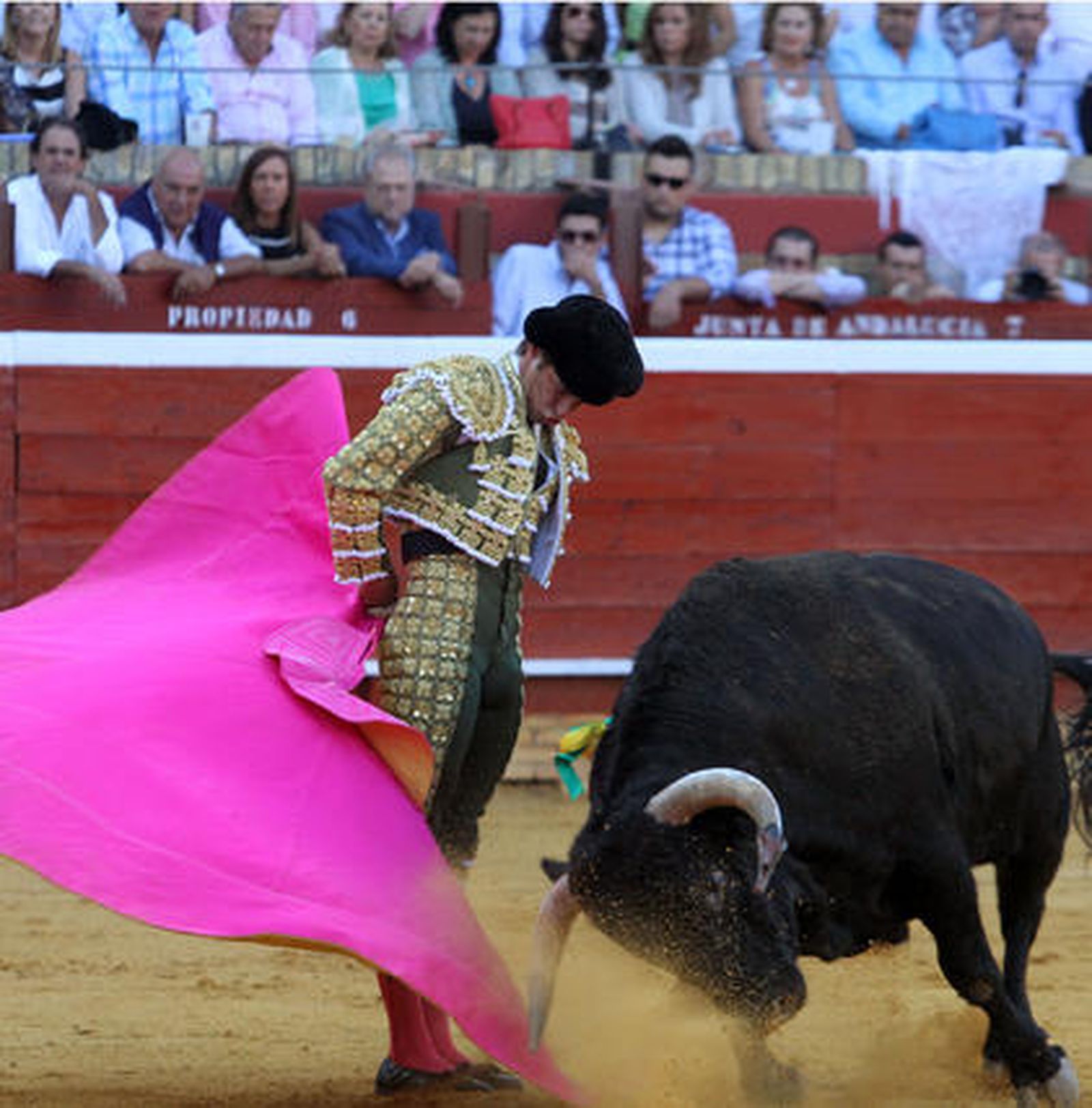 Foto: Alberto Domínguez