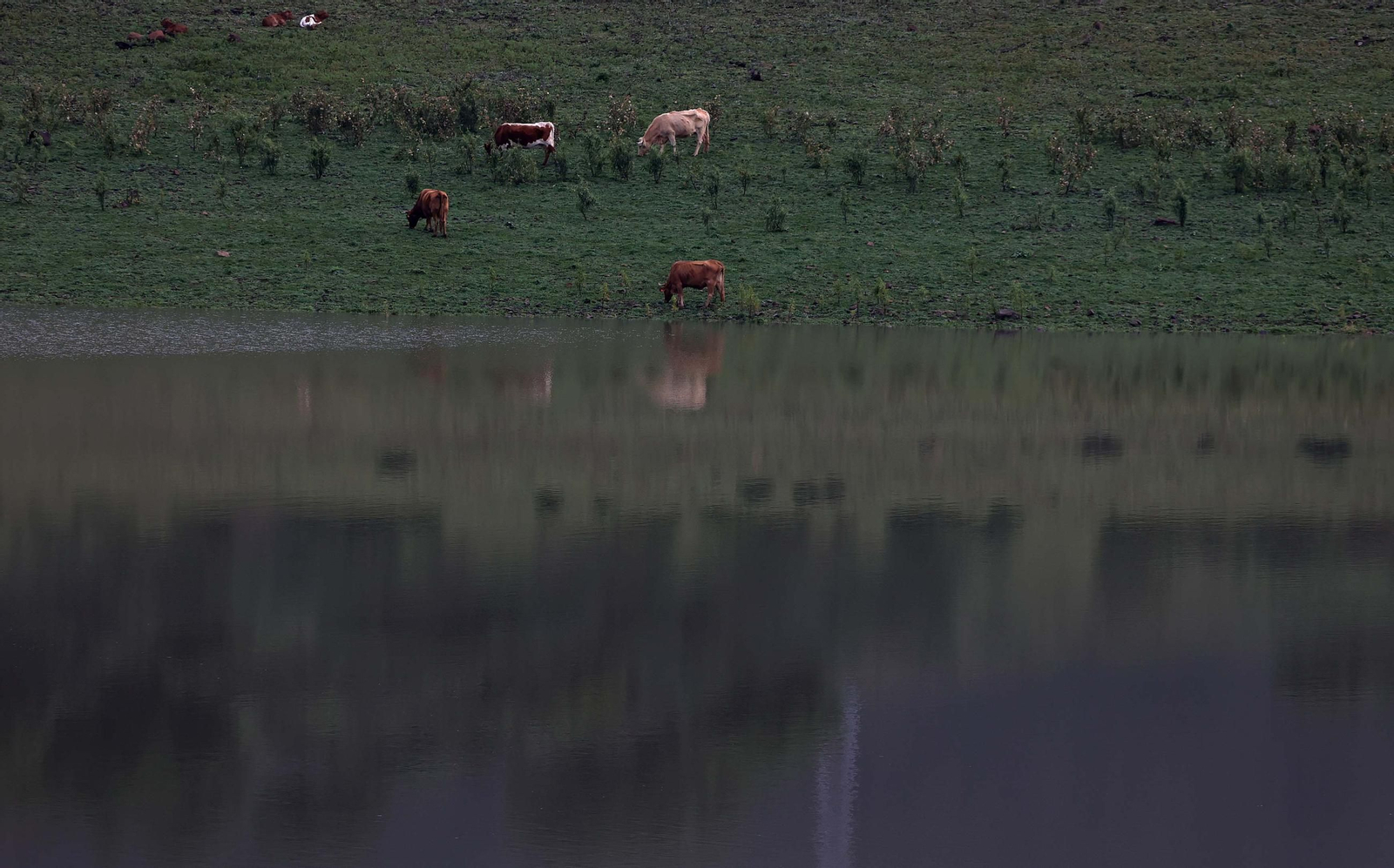 Fotos del pantano de Charco Redondo en Los Barrios