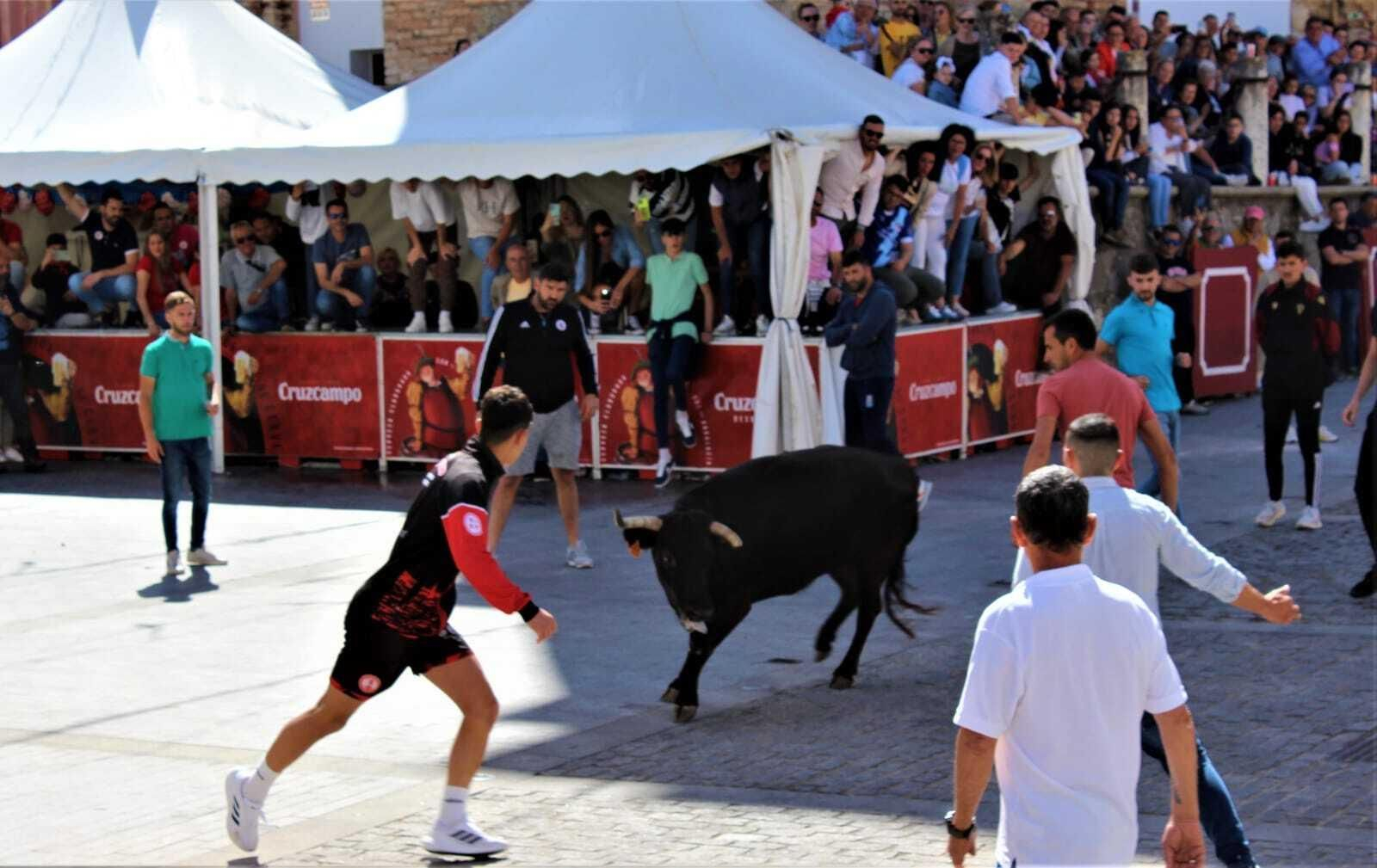 Festividad de San Jorge, patrón de Alcalá de los Gazules