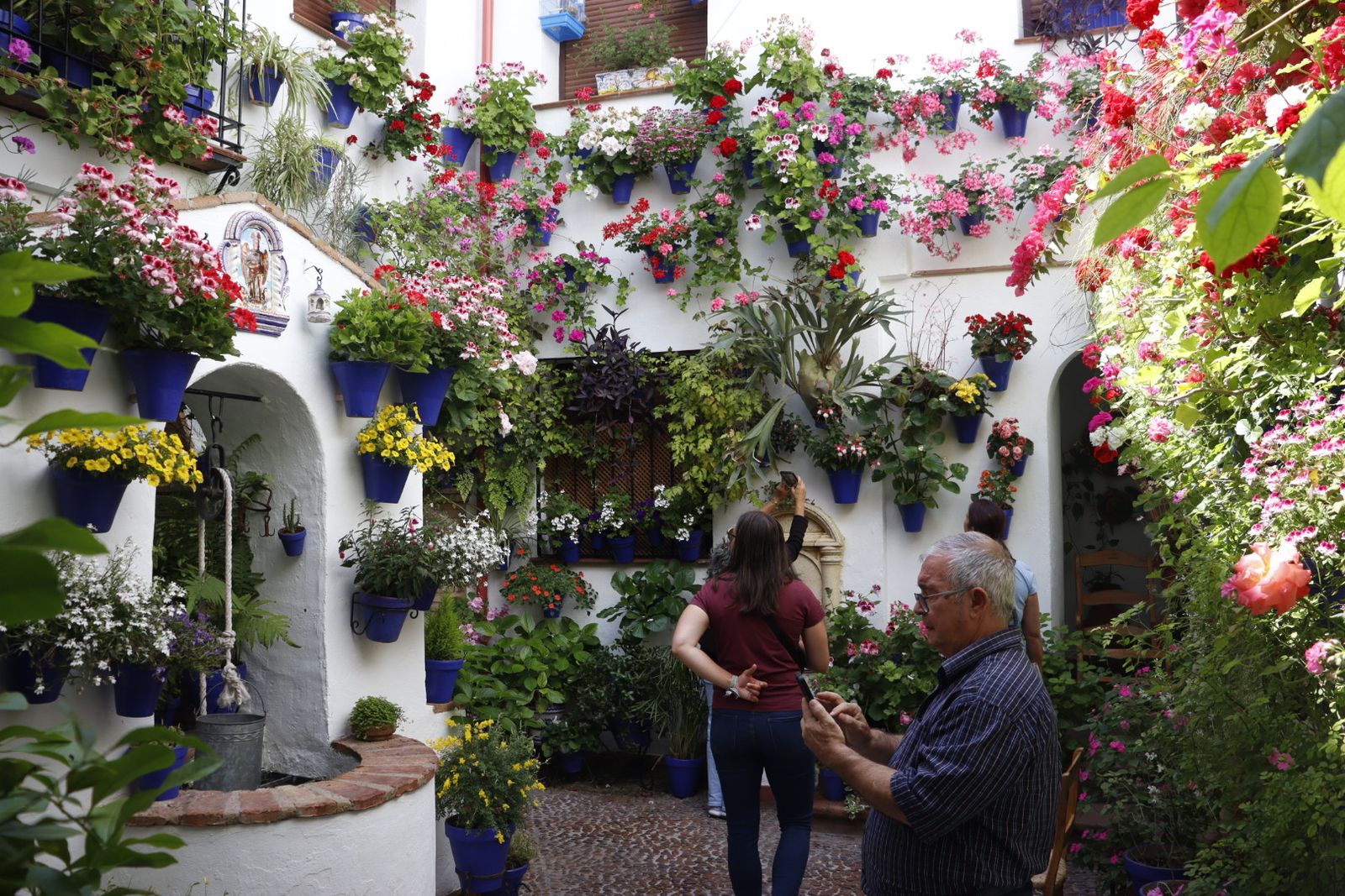 Ruta de los patios de San Lorenzo