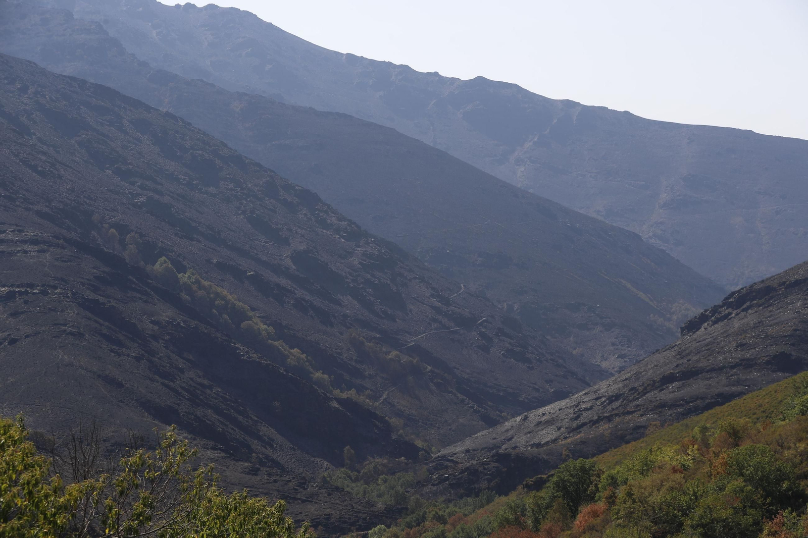Monte quemado en Galicia por el incendio de Larouco.