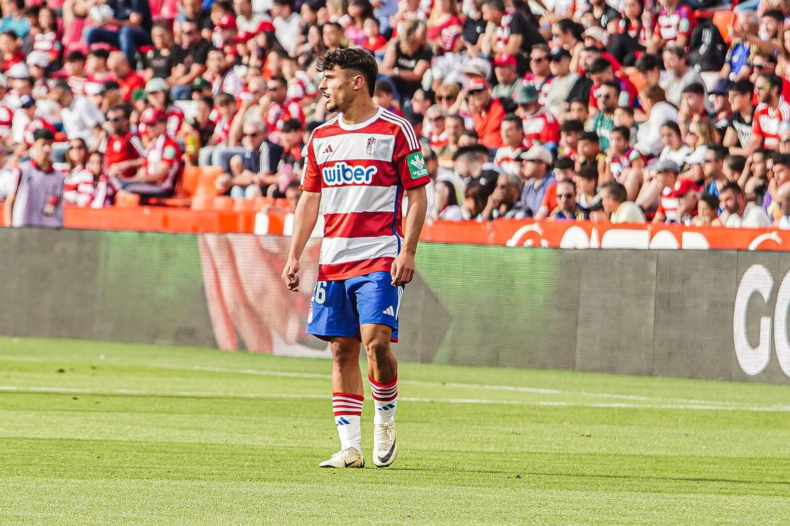 Las mejores imágenes del Granada CF-Celta de Vigo