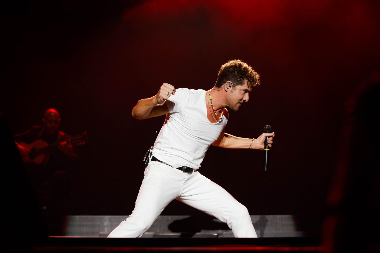 El concierto de David Bisbal, en imágenes