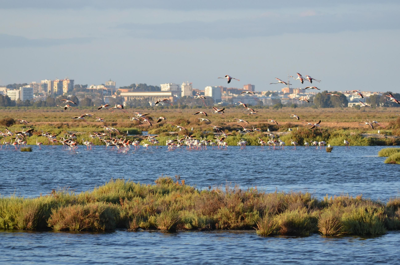 Las Marismas del Odiel.