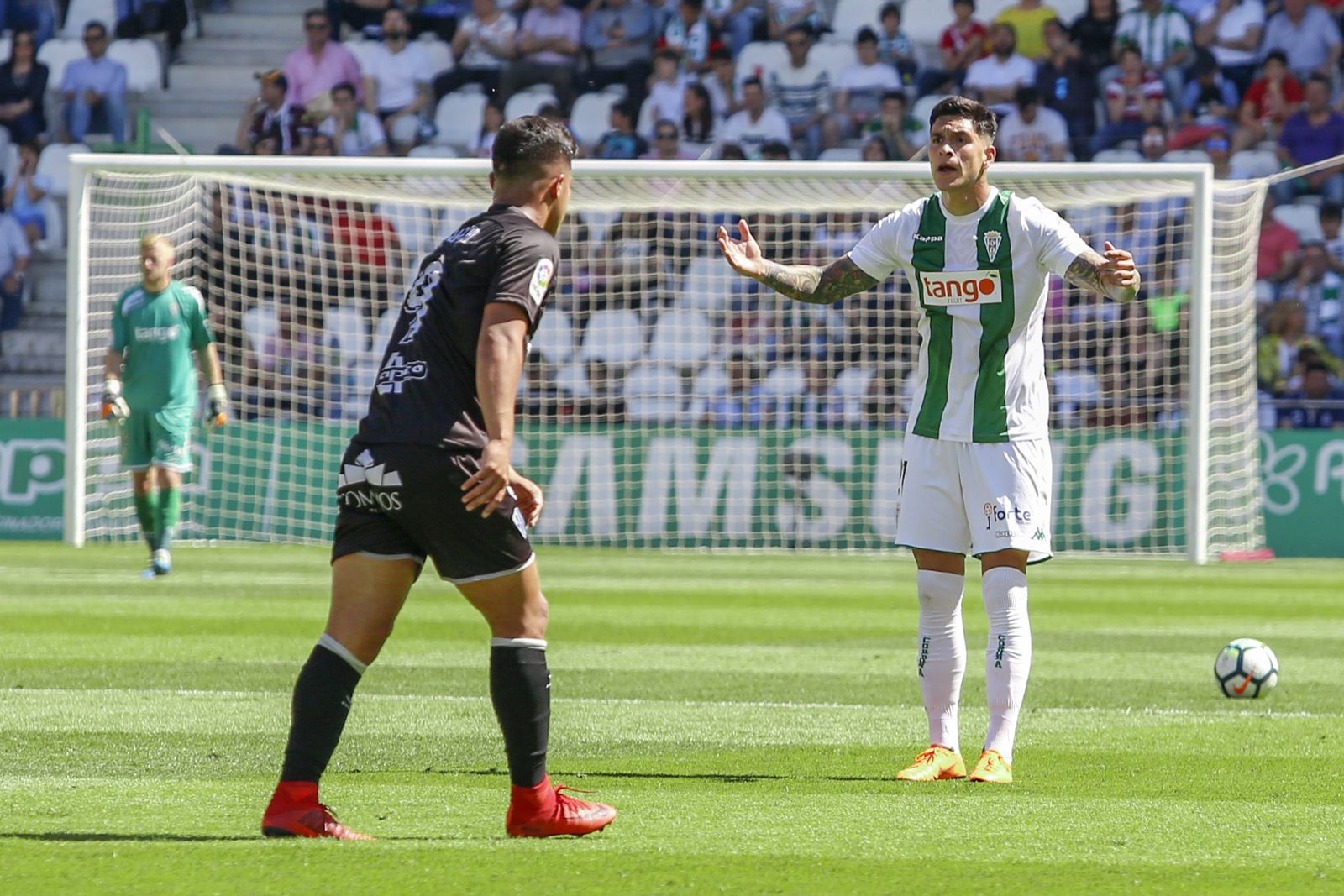 Las imágenes del Córdoba-Huesca