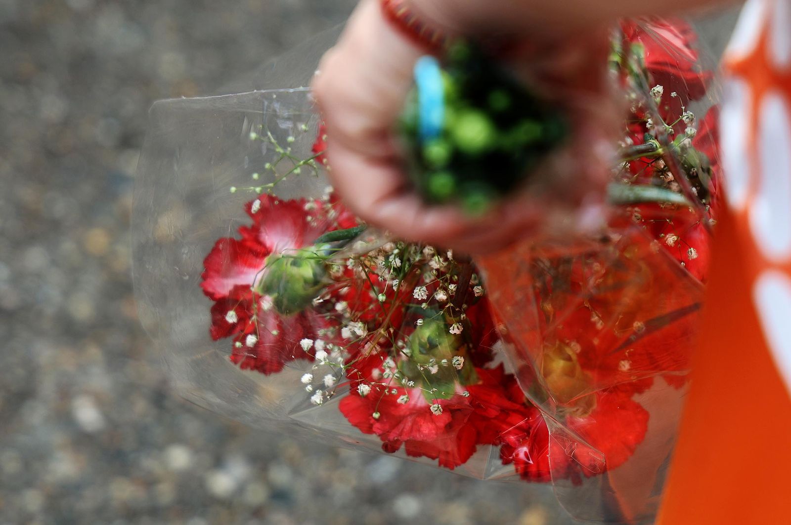 Imágenes de la visita a los trabajos de exhumación en las fosas comunes del Cementerio de La Soledad