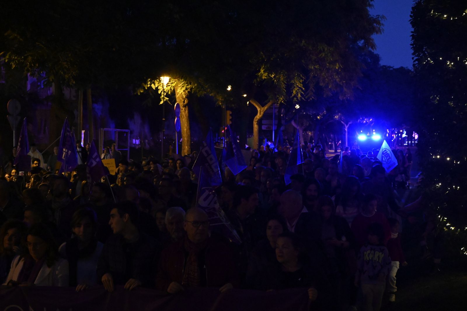 Manifestación del 25N en Imágenes.