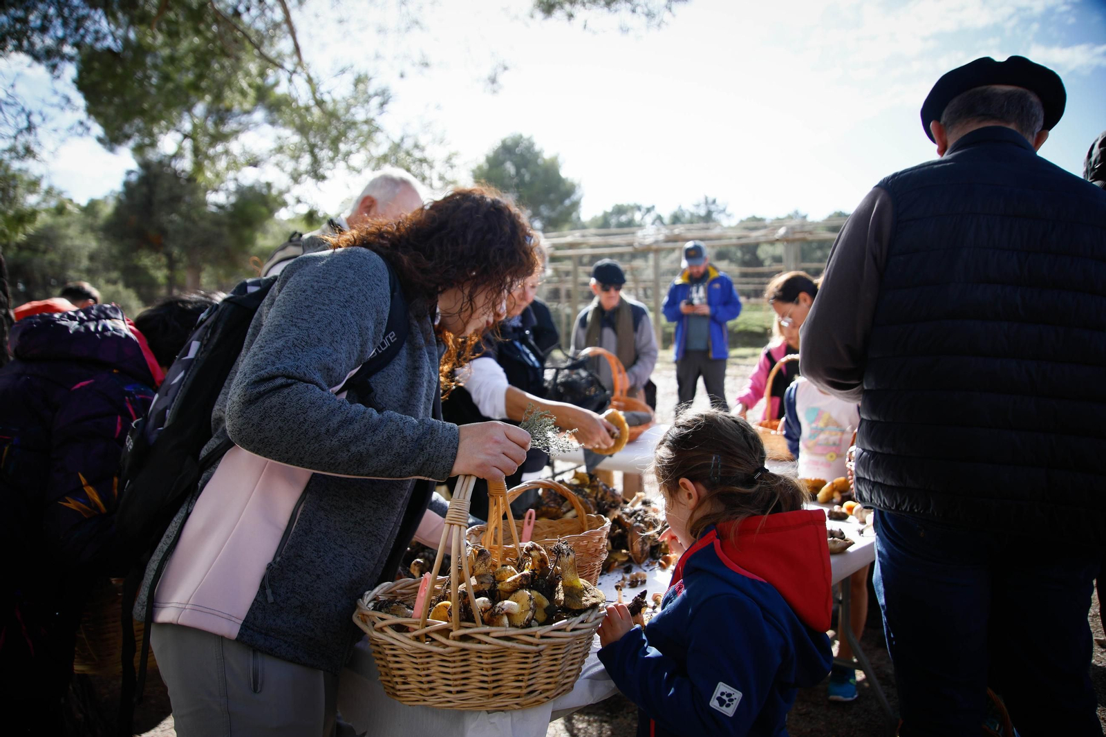 La ruta recolectora de setas en Abla por las XIX Jornadas Micológicas, en imágenes