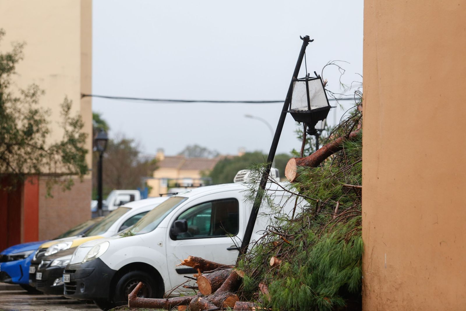 Fotos: Así amaneció el Campo de Gibraltar tras el paso de la borrasca Leonardo