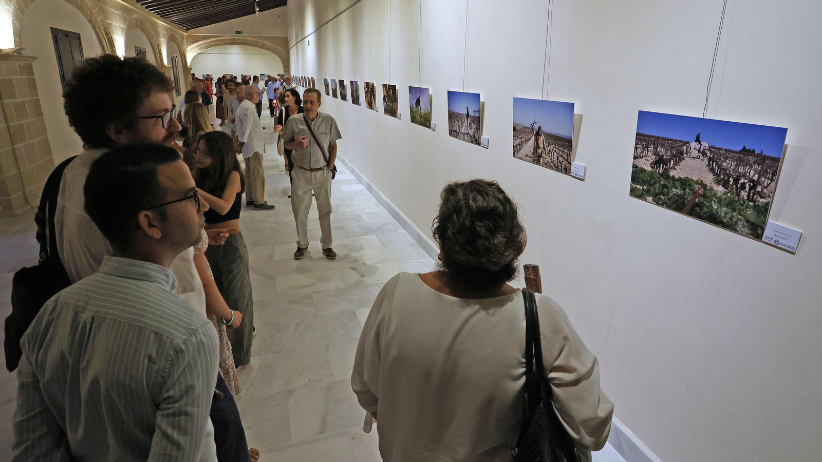 Inauguración de Fotojenia en Jerez