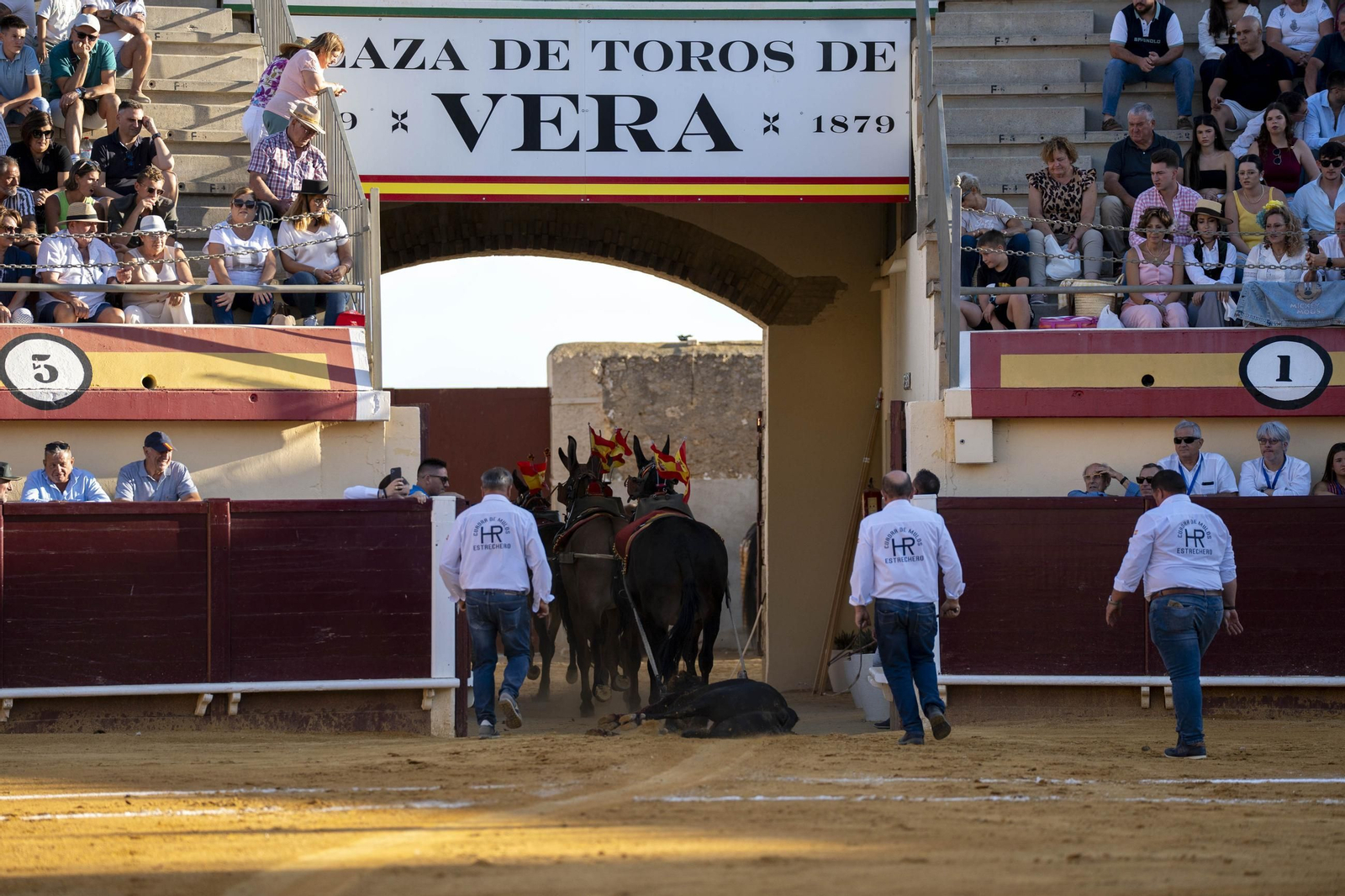 Las imágenes de los toros en Vera