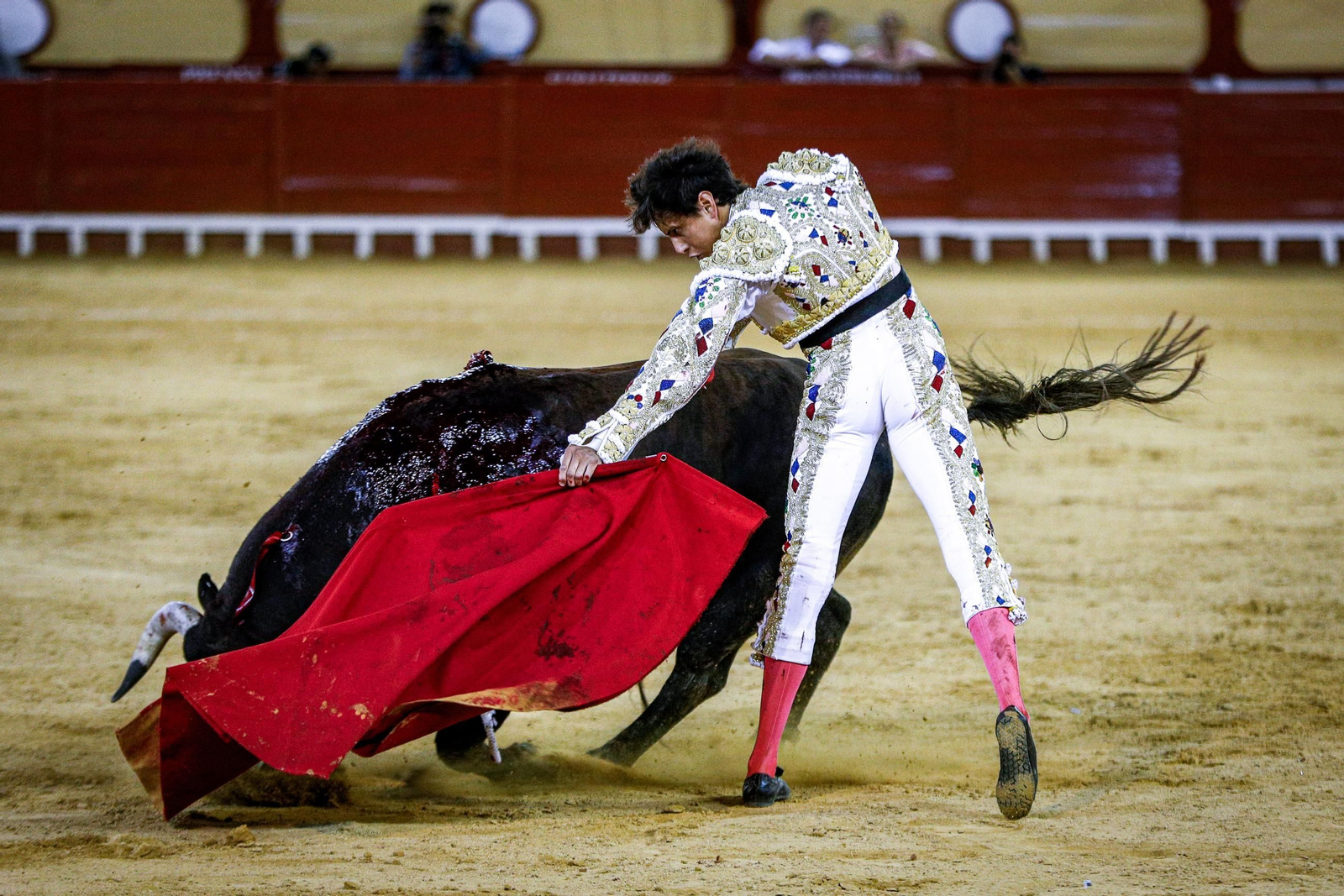 Imágenes de la corrida de toros en El Puerto: Manzanares, Roca Rey y Pablo Aguado