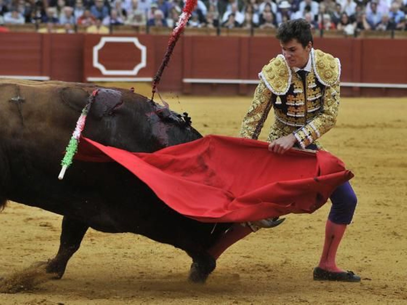 El tercero fue para Daniel Luque.

Foto: Juan Carlos Muñoz