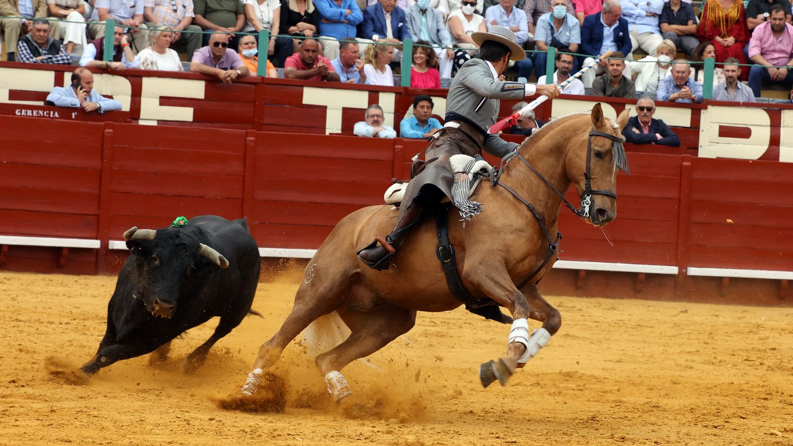 Toros en Jerez: El arte ecuestre