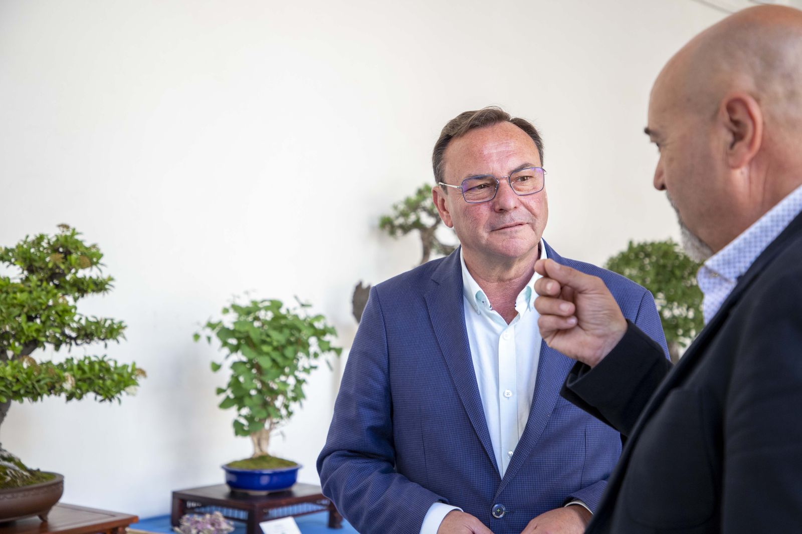 La Exposición de Bonsái de Primavera de Córdoba, en fotografías