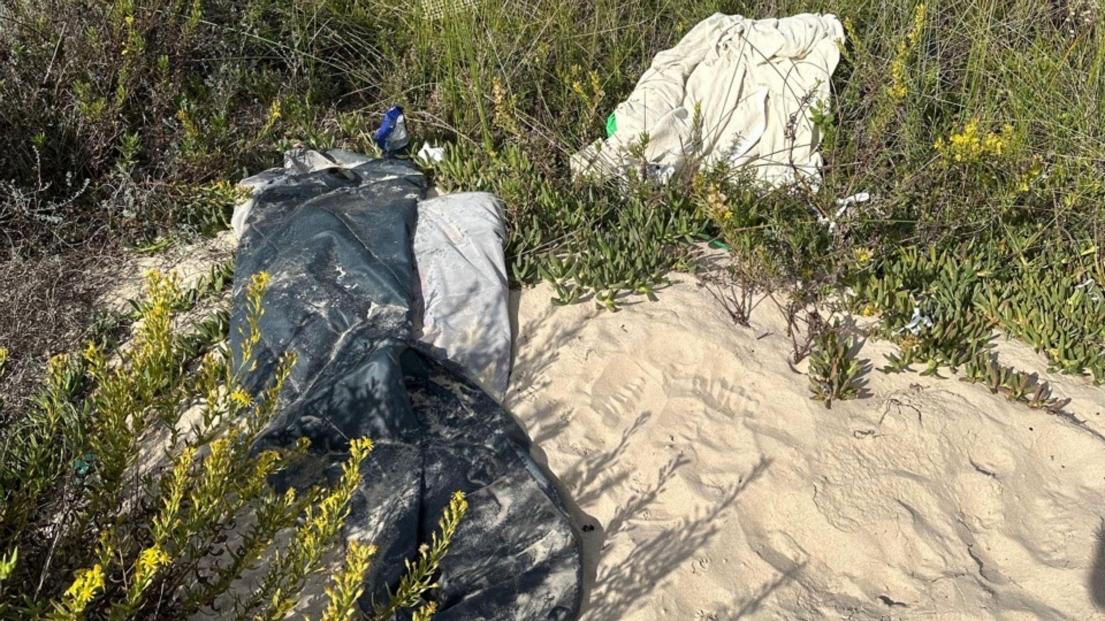 Basura en el paraje natural Marismas del río Palmones y el sistema dunar de la playa de El Rinconcillo.