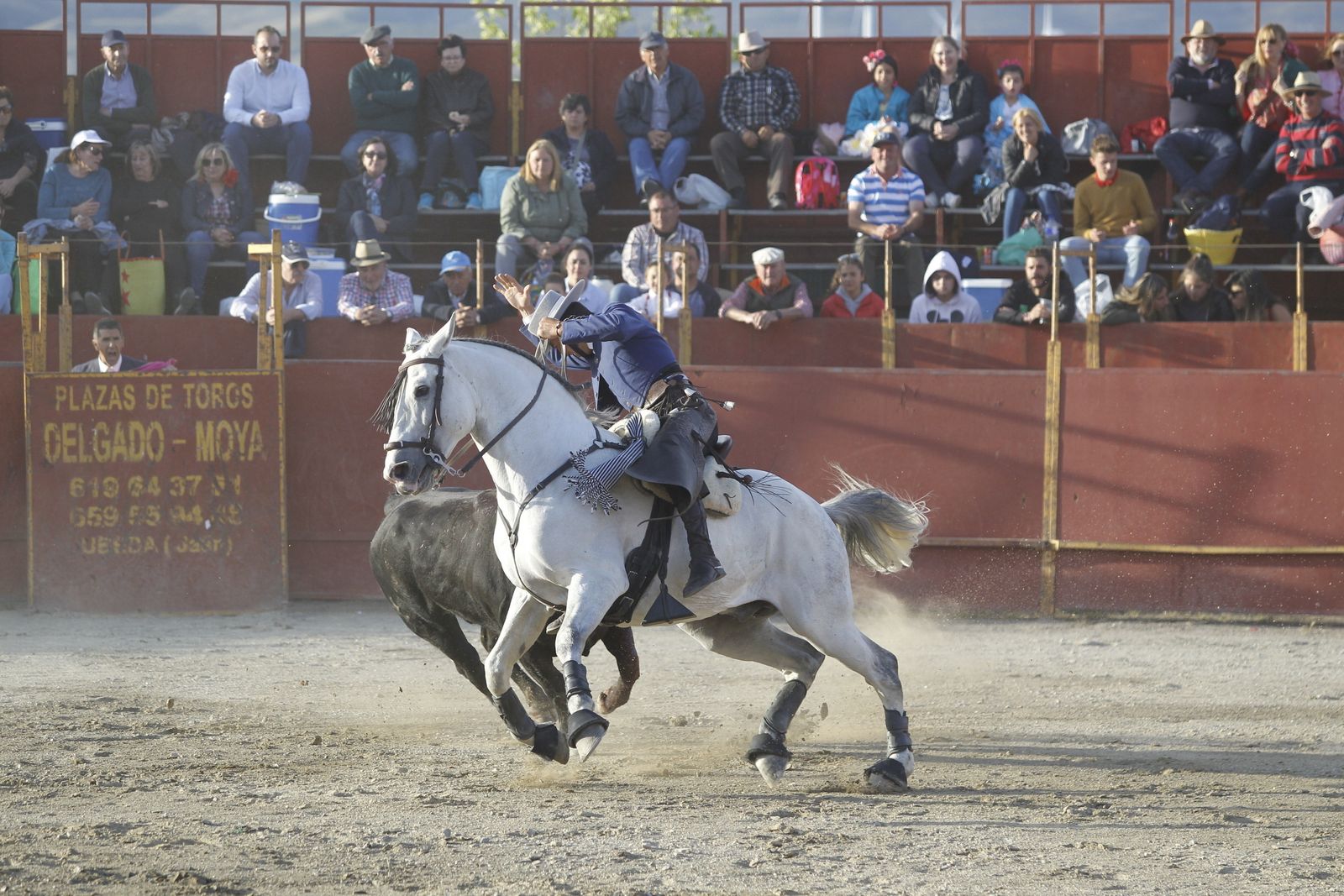 Fotogalería Festival Taurino Mixto. Fiestas de Abrucena.