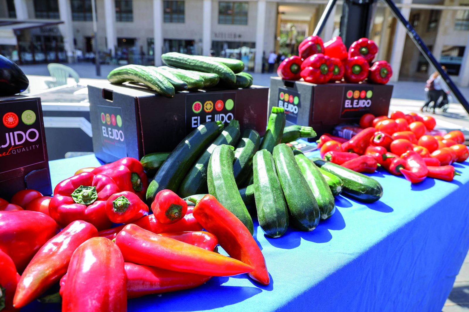 De El Ejido a las mesas de España y Europa