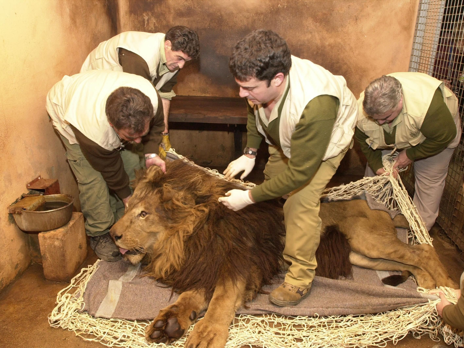Recorrido gráfico por los 68 años del Zoobotánico en su aniversario