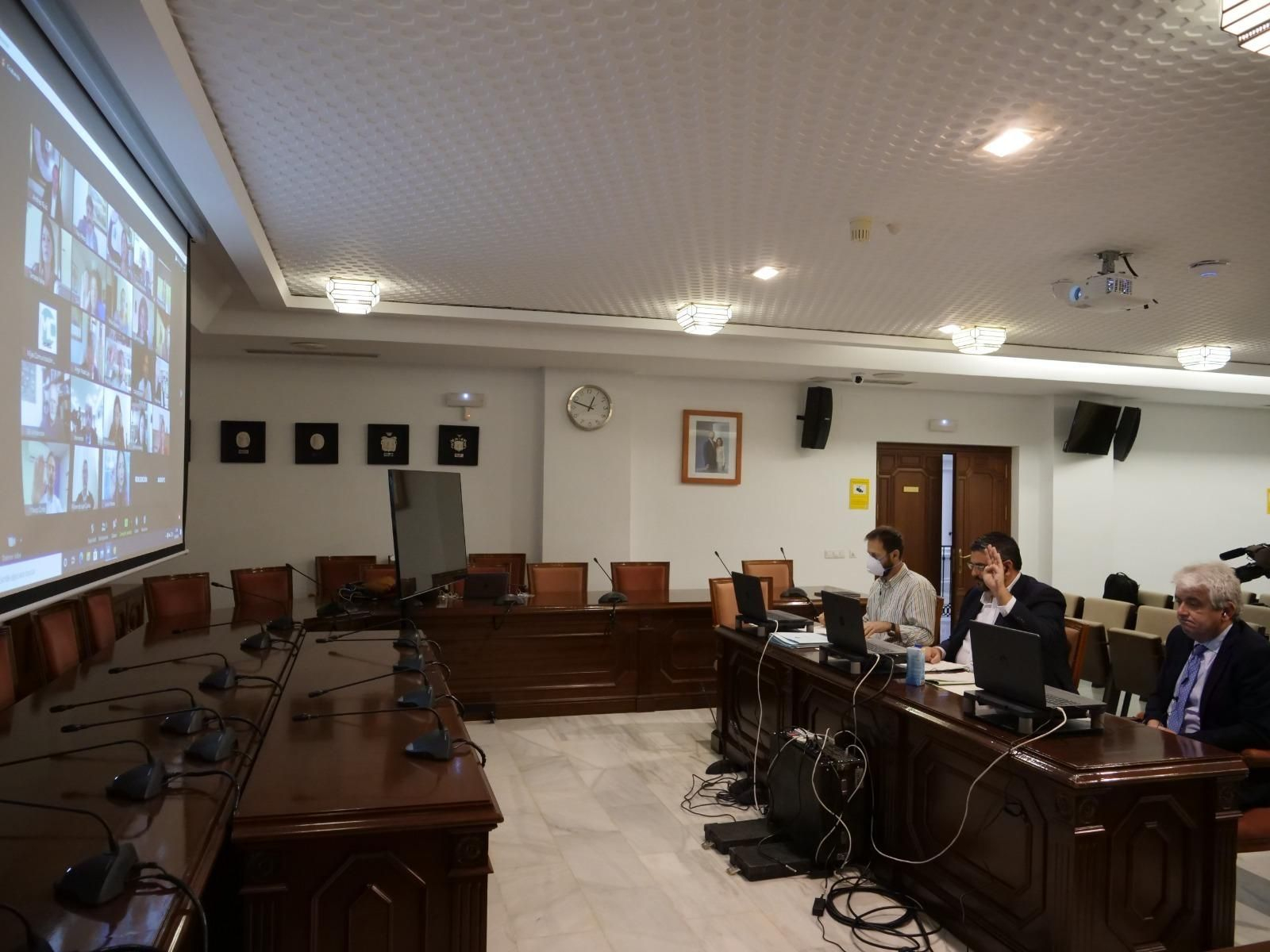 Mijas celebra su segundo Pleno telemático.