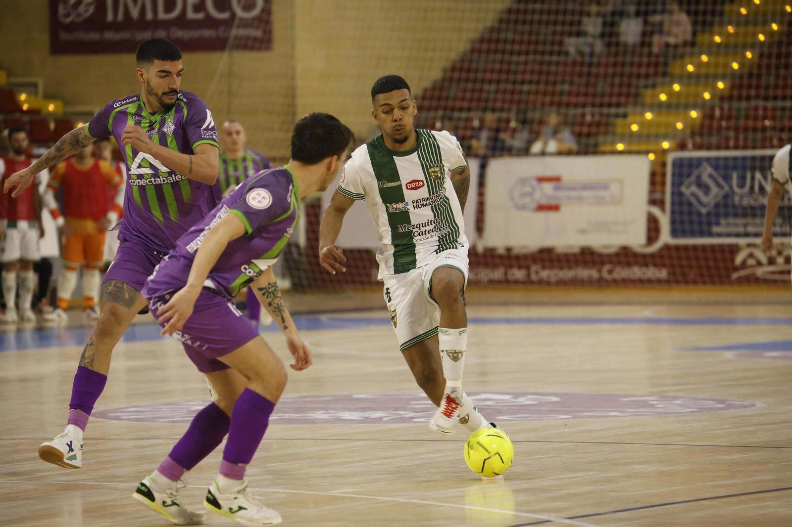 Las mejores fotos del ambiente en Vista Alegre para el Córdoba Futsal - Palma.