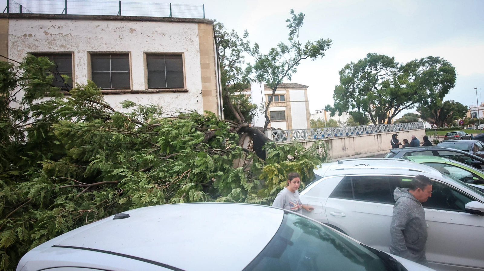 Caos en Jerez por los destrozos del temporal de viento